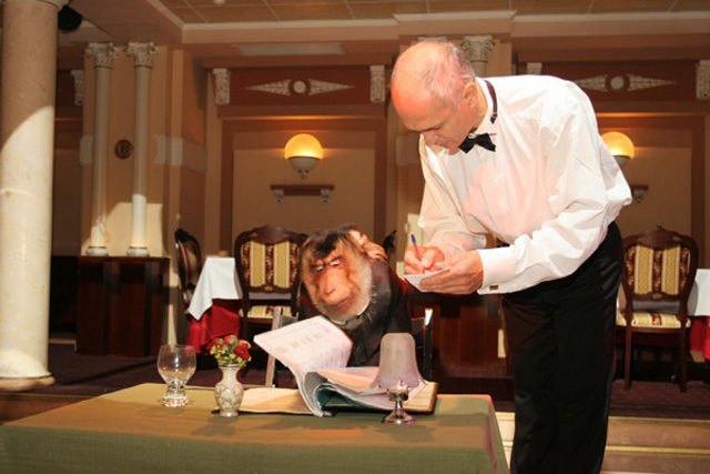 Мистер Вато в ресторане